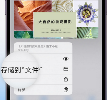 射阳apple维修中心分享iPhone文件应用中存储和找到下载文件