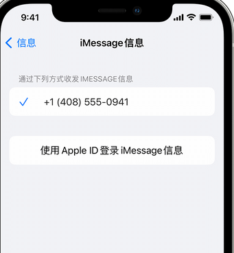 射阳apple维修iPhone上无法正常发送iMessage信息 