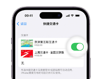 射阳apple维修点分享iPhone上更换Apple Pay快捷交通卡手绘卡面 