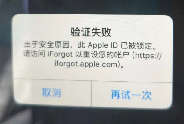 射阳iPhone维修分享iPhone上正常登录或使用AppleID怎么办 