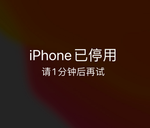 射阳苹果手机维修分享:iPhone 显示“不可用”或“已停用”怎么办？还能保留数据吗？ 