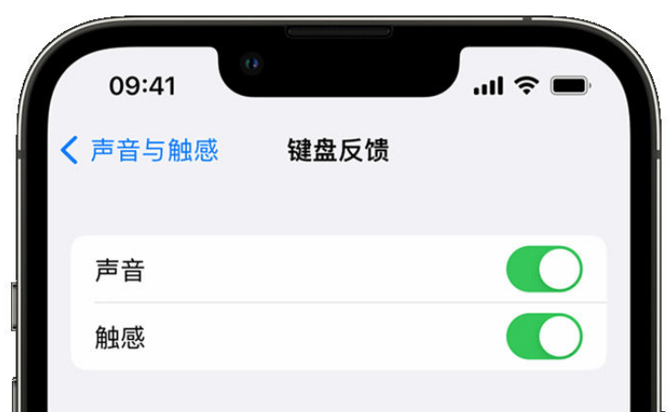 射阳苹果手机维修分享iPhone 14触感键盘使用方法 