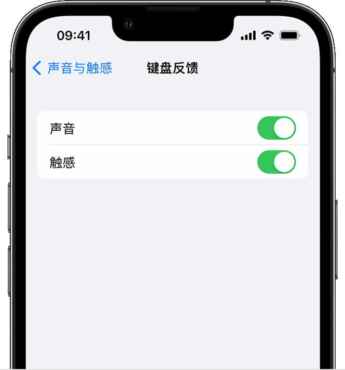 射阳苹果14维修店分享如何在 iPhone 14 机型中使用触感键盘 