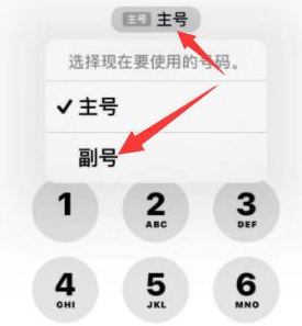 射阳苹果14维修店分享iPhone 14 Pro Max使用副卡打电话的方法 