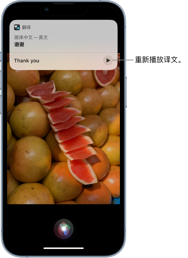 射阳苹果14维修分享 iPhone 14 机型中使用 Siri：了解 Siri 能帮你做什么 