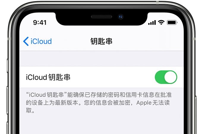 射阳苹果手机维修分享在 iPhone 上开启 iCloud 钥匙串之后会储存哪些信息 