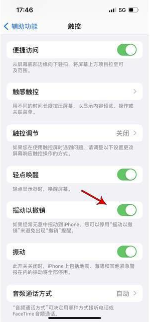 射阳苹果手机维修分享iPhone手机如何设置摇一摇删除文字 