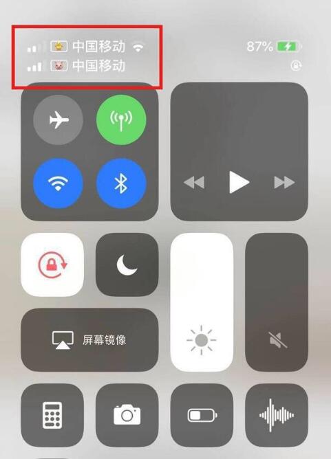 射阳苹果手机维修分享为 iPhone 12 双卡设置标签 