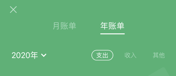 射阳苹果手机维修分享如何在 iPhone 上查看支付宝和微信年支出账单 